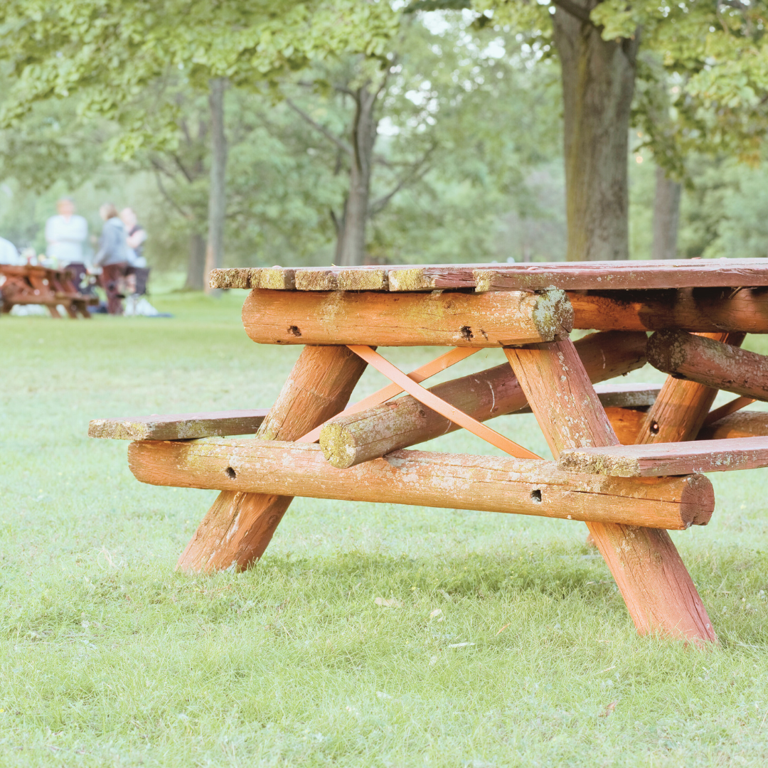 9 Tips for Low Waste Picnics