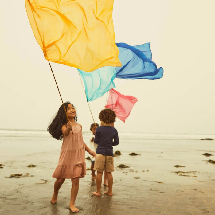 four children standing on beach waving flags made of sarah's silks and sticks